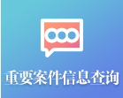 重要案件信息查询